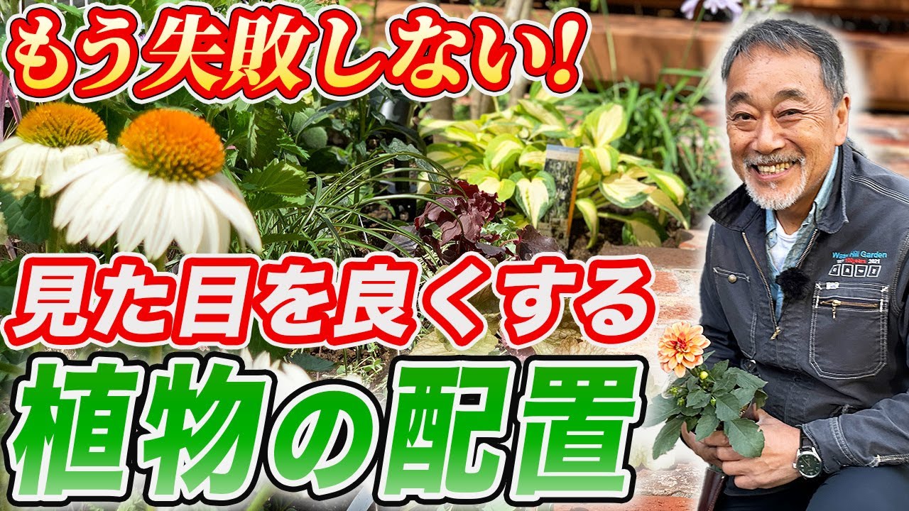 【初心者必見!】植物を素敵に植えるテクニックを庭師が公開！花壇でも寄せ植えでも使えます！【お庭】【植栽】