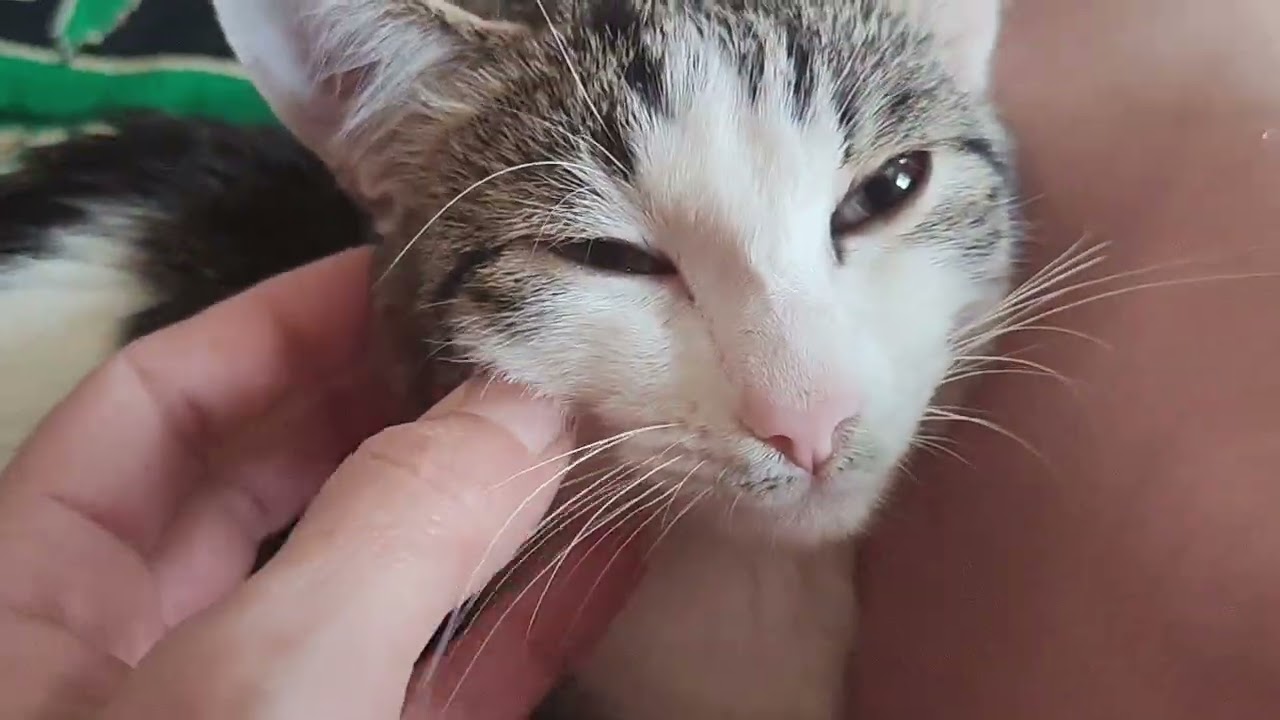 Диванный влог. Покупки. Процессы. Продвижения.