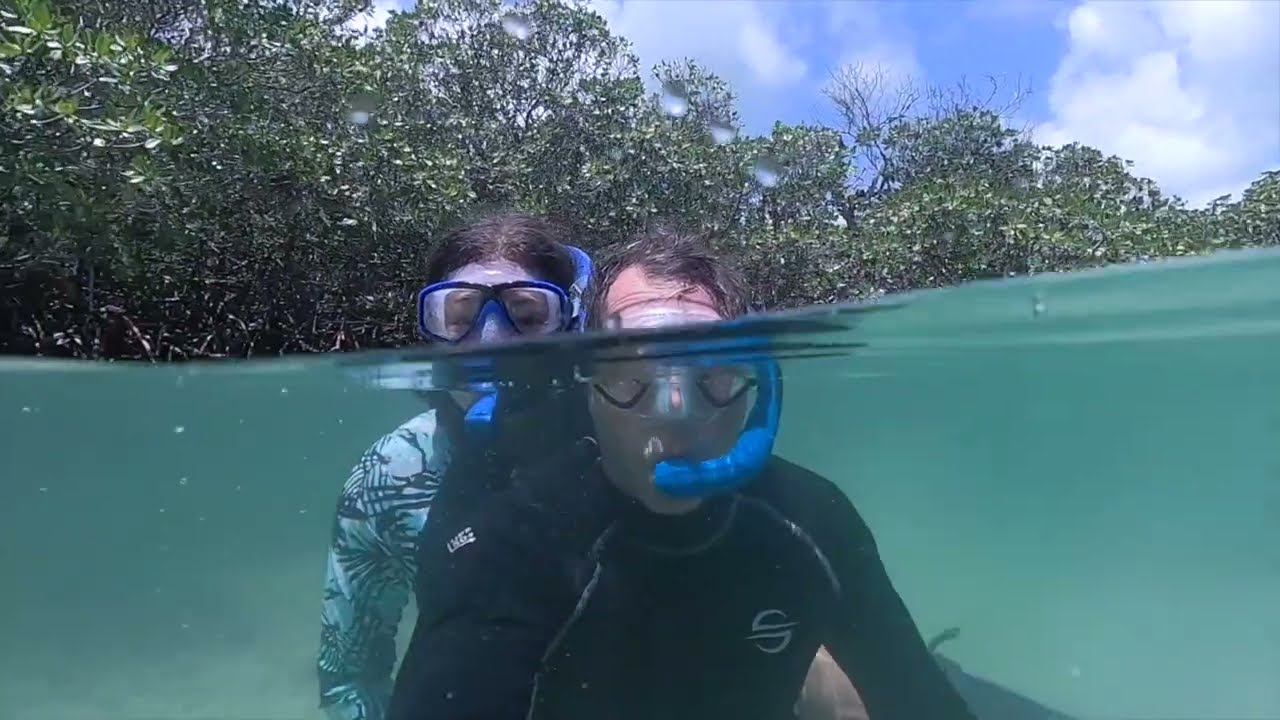 Scuba diving in Miami’s crystal-clear waters