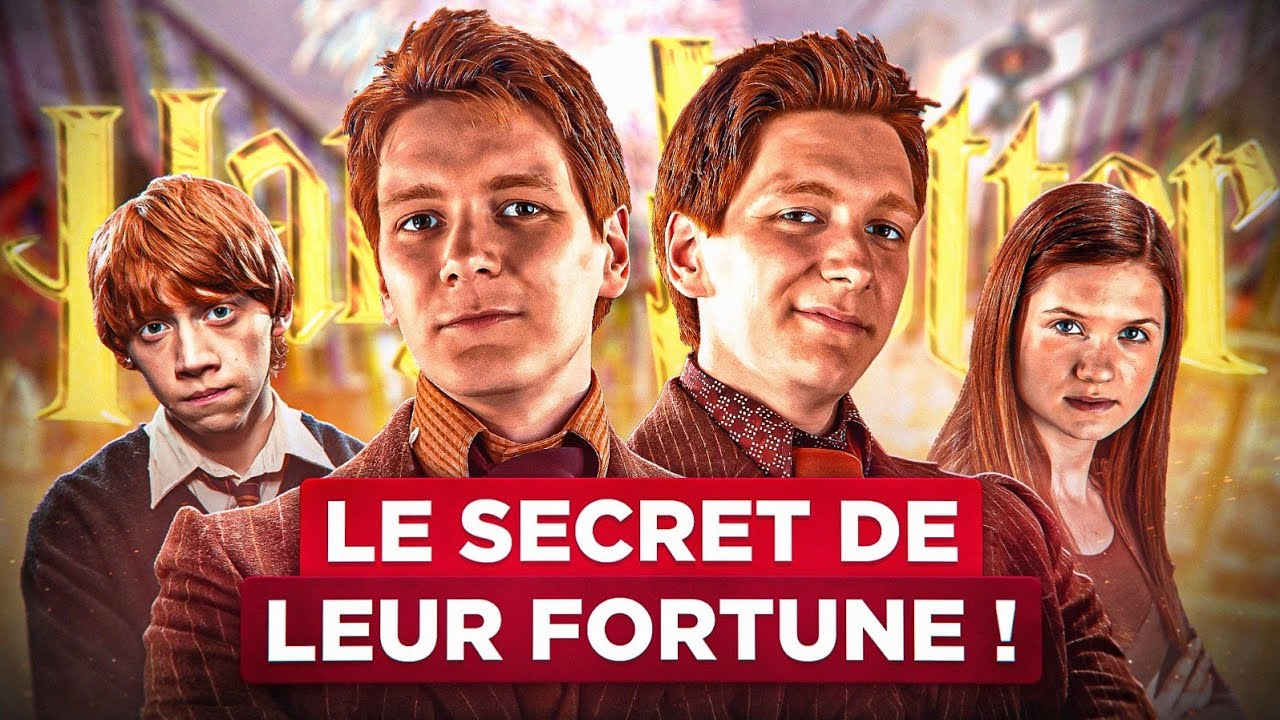 7 QUESTIONS sans RÉPONSE dans les FILMS HARRY POTTER