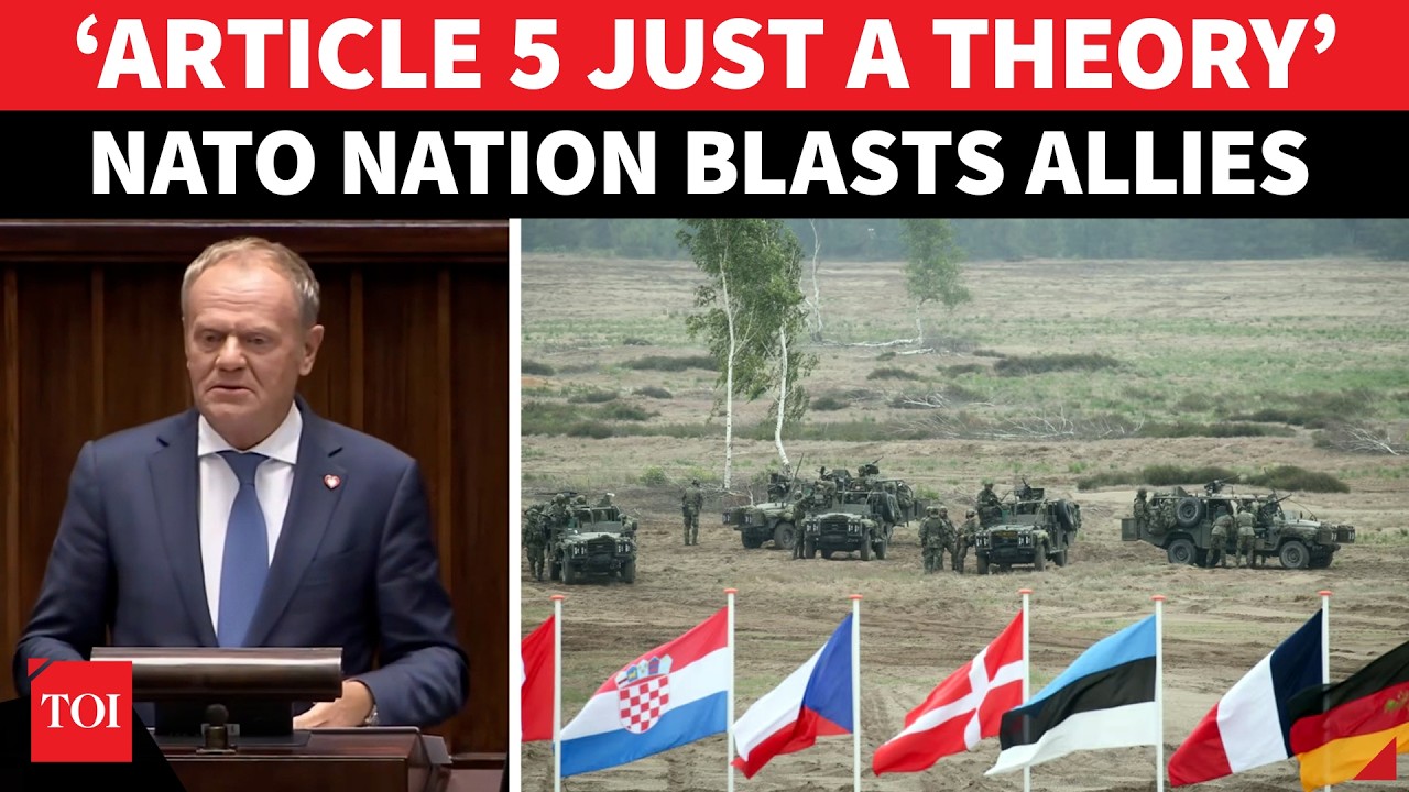 &bdquo;Putin może uderzyć w każdej chwili&rdquo;: Państwo NATO &bdquo;WSTYDZI&rdquo; własny blok, kwestionuje sojusznik&oacute;w...