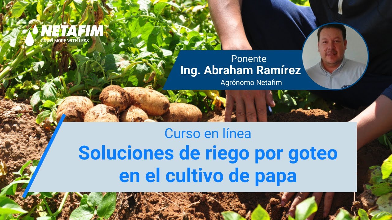 Curso en línea - Soluciones de riego por goteo en el cultivo de papa