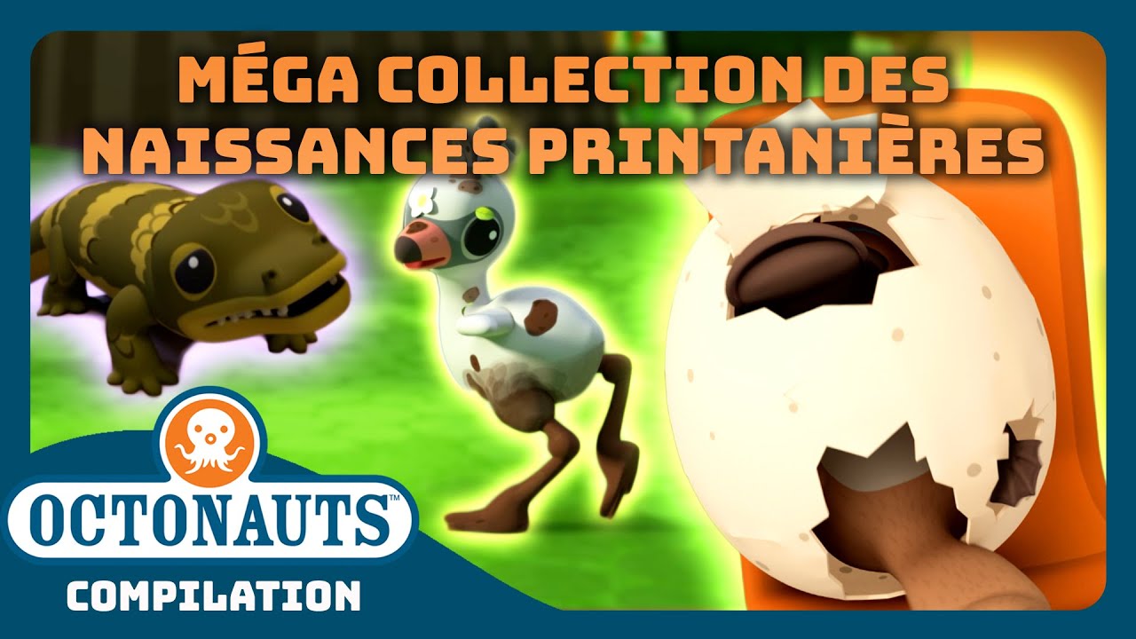 Octonauts - 🌼 MÉGA collection des naissances printanières 🐣 | Compilation
