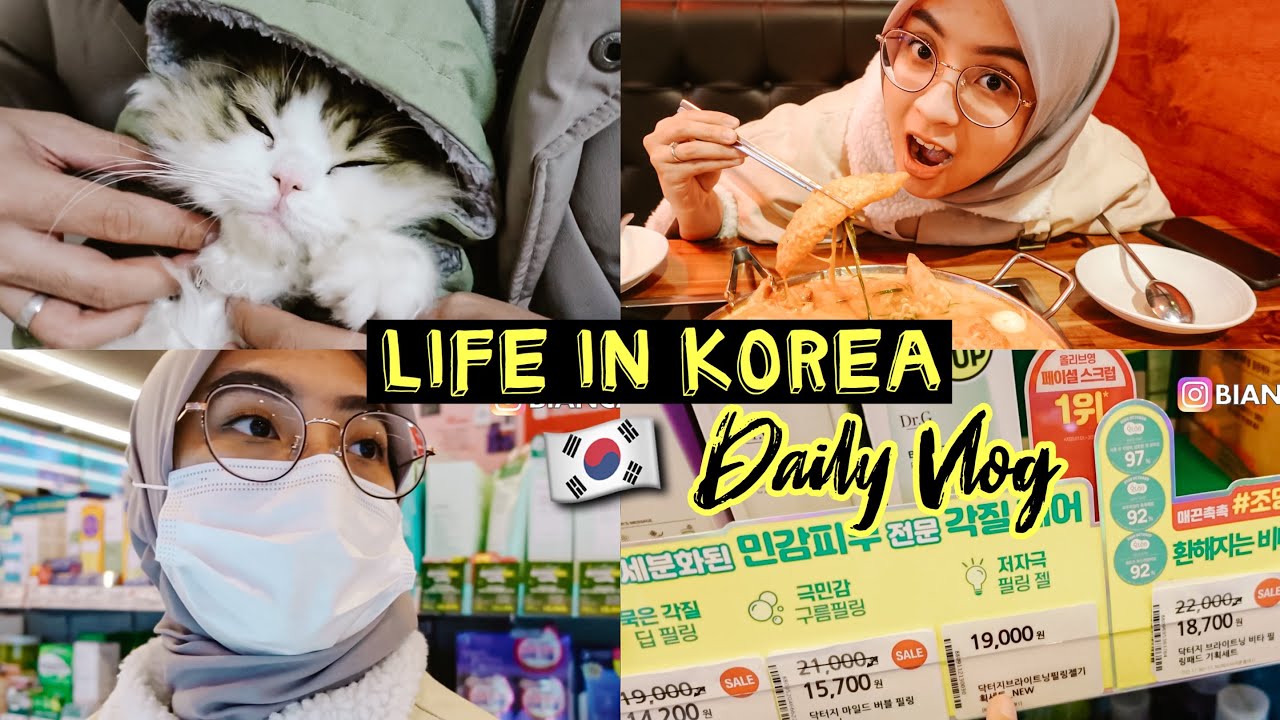 DAILY VLOG 🇰🇷 LIFE IN KOREA: MAKAN TOPOKI, BELANJA SKINCARE, MAIN KUCING 💕
