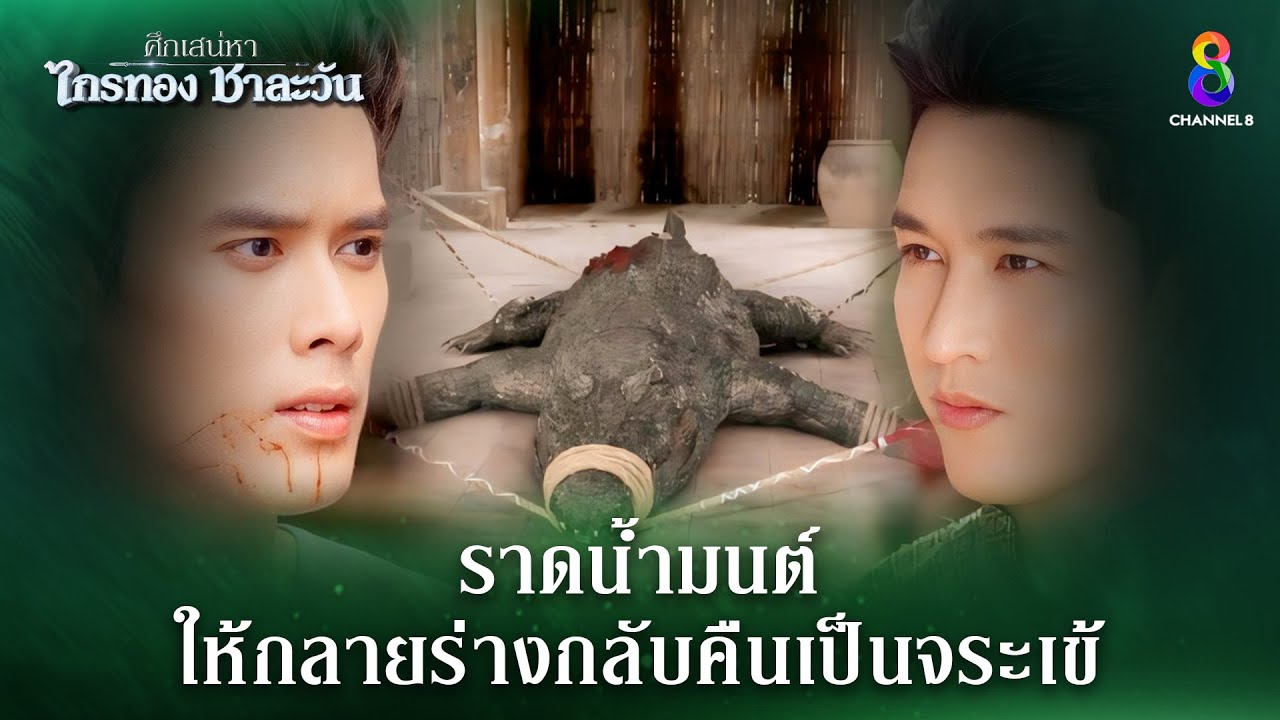 ราดน้ำมนต์ให้กลายร่างกลับคืนเป็นจระเข้ | HIGHLIGHT ศึกเสน่หา ไกรทอง ชาละวัน EP.5 | ละครช่อง8