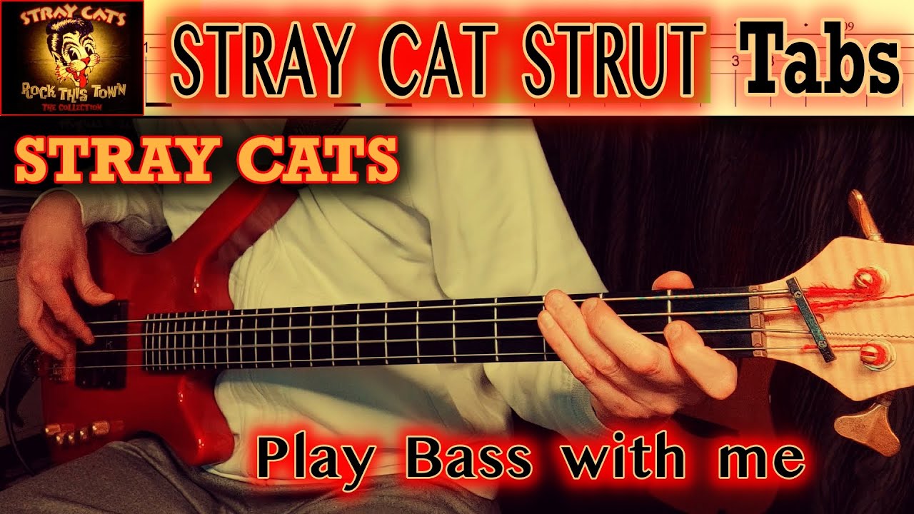 STRAY CATS  - Stray Cat Strut (Bass Cover) + Play along TABS