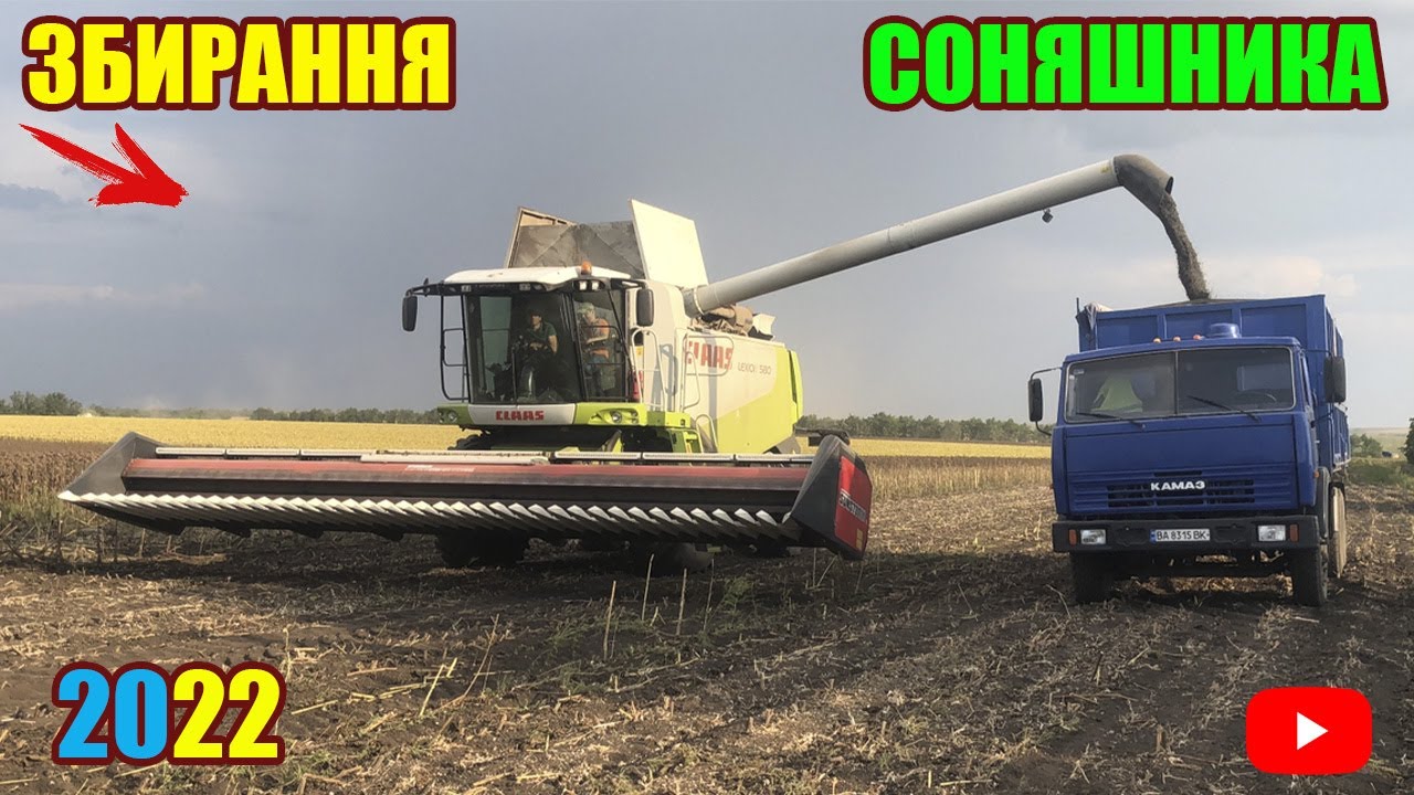 ЗБИРАННЯ СОНЯШНИКА 2022 ЖНИВА В РОЗПАЛІ | КОМБАЇН CLAAS LEXION 580 / КАТОК ПОДРІБНЮВАЧ | 30.08.2022