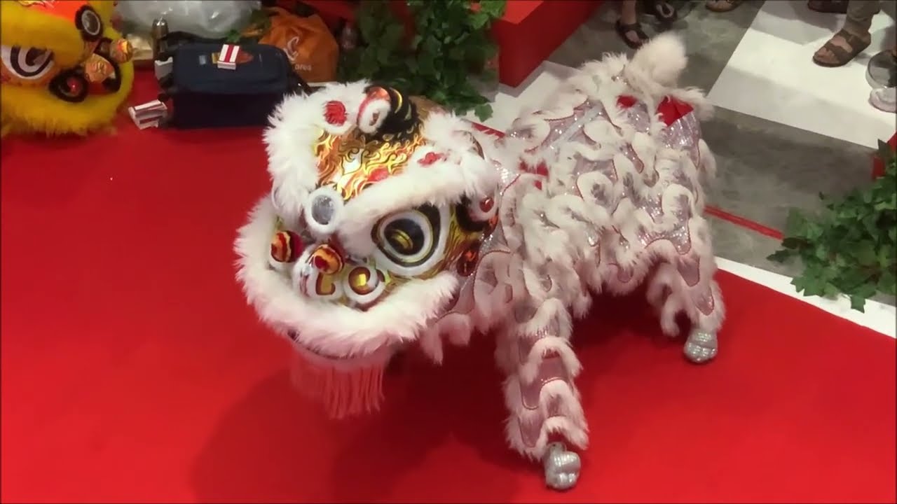 🦁 2️⃣0️⃣2️⃣4️⃣Lion Dance Barongsai Lippo Mal Puri Jakarta Indonesia
