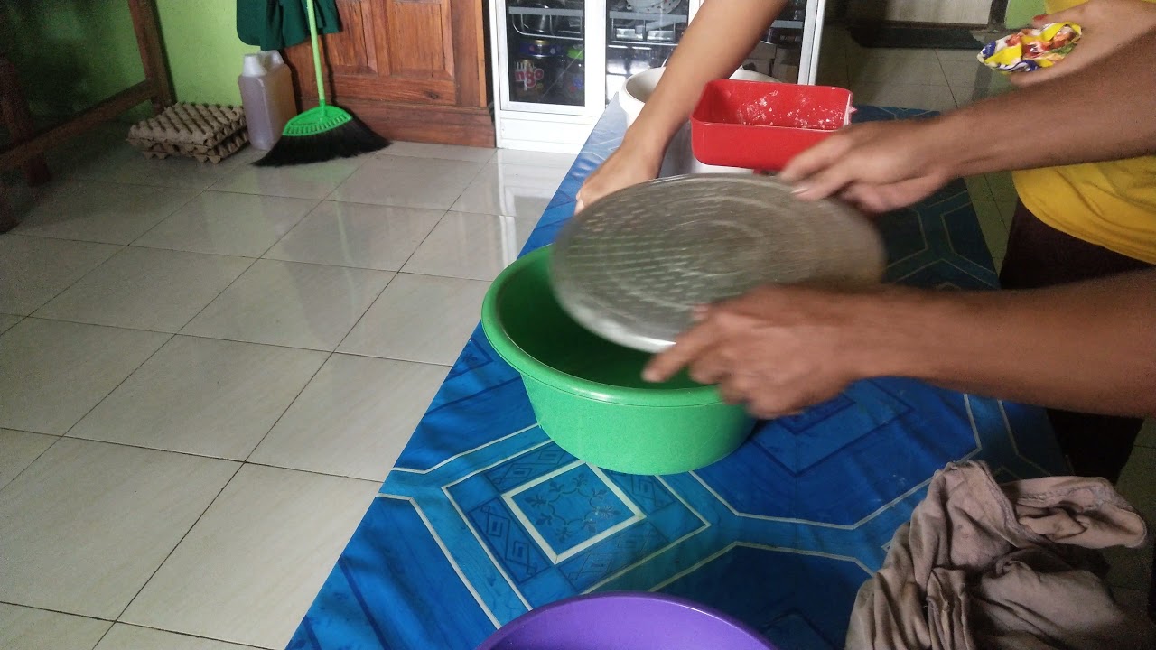 tutorial penyemaian bibit kayu balsa part 4