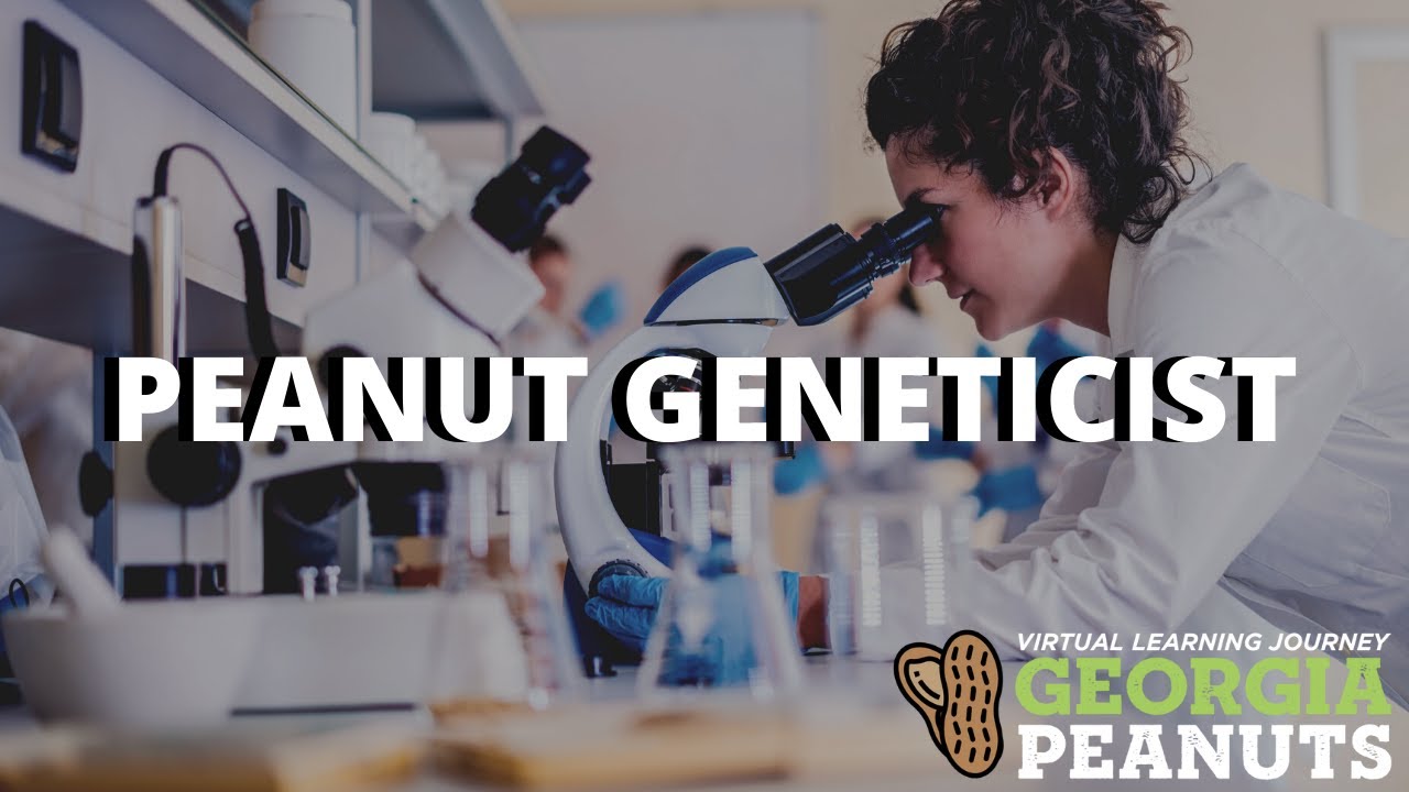 Peanut Geneticist | Peanut Careers