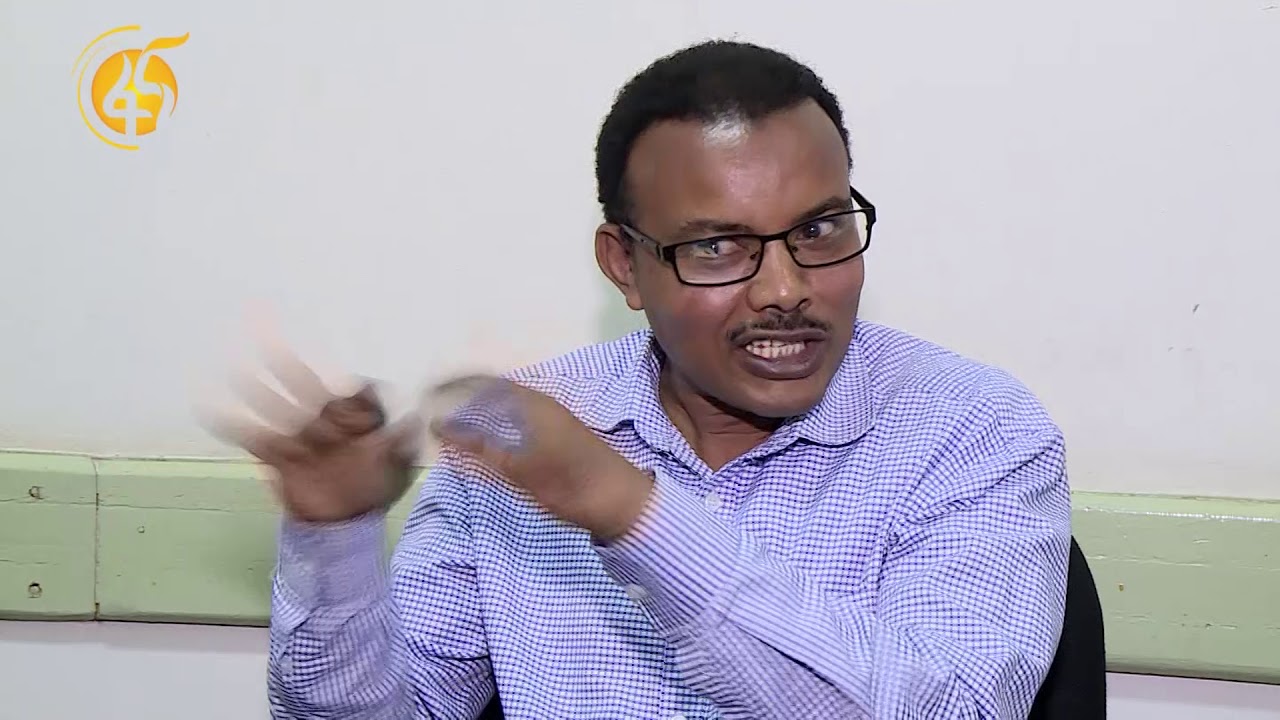 ሃሰተኛ የትምህርት ማስረጃ