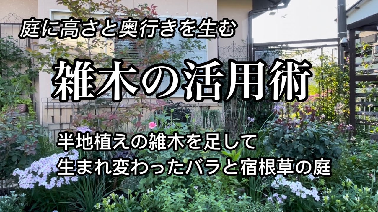 【半地植えにした雑木で庭に高さと奥行きを出すリニューアル】雑木を半地植えにする方法/ガーデニング/半地植えの庭