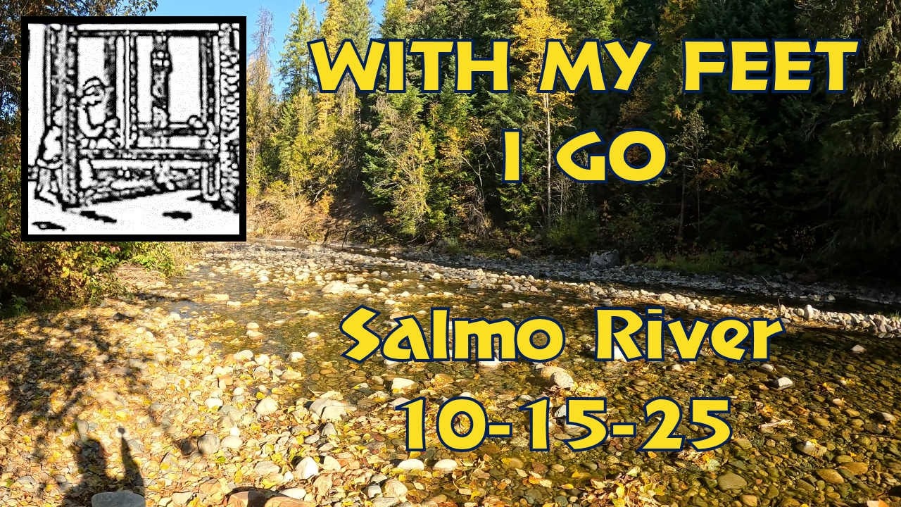 WITH MY FEET -  ALONG THE SALMO RIVER #riverwalk #riversounds #forestwalk