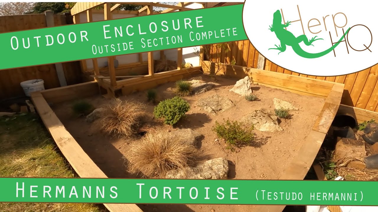 Outdoor Enclosure - Hermann's Tortoise