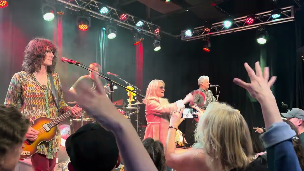 Peace ☮️ Train 🚂 (Cat Stevens) - The Herding Cats Live at The Lime in Kirkland, Washington 1/18/2026