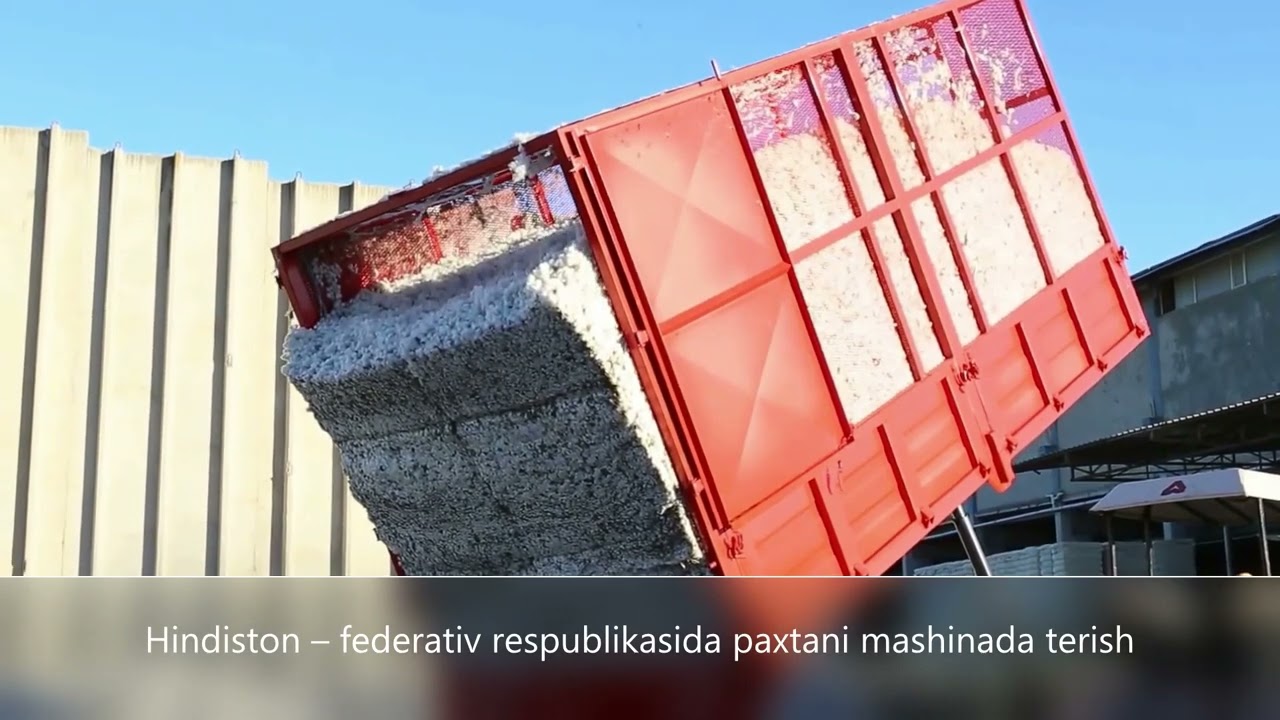 АҚШ, Хитой ва Хиндистонда пахта хосилини  териш машиналарида йиғиб олиш хақида видио лавхалар