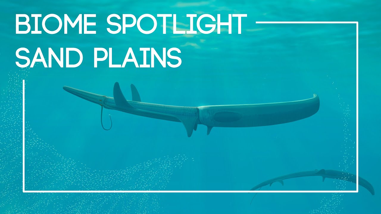 An Overview of Life Beneath an Alien Ocean  |  The Isla Project: Episode 4