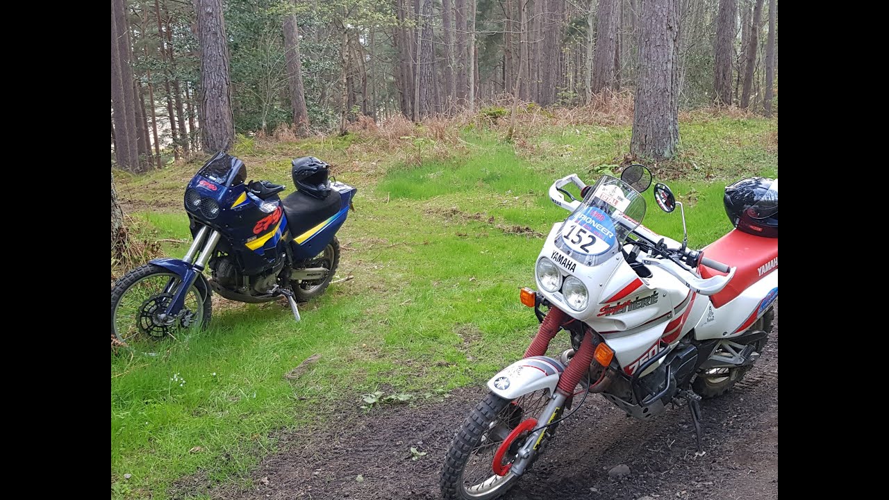 Elefant and Super Tenere off road