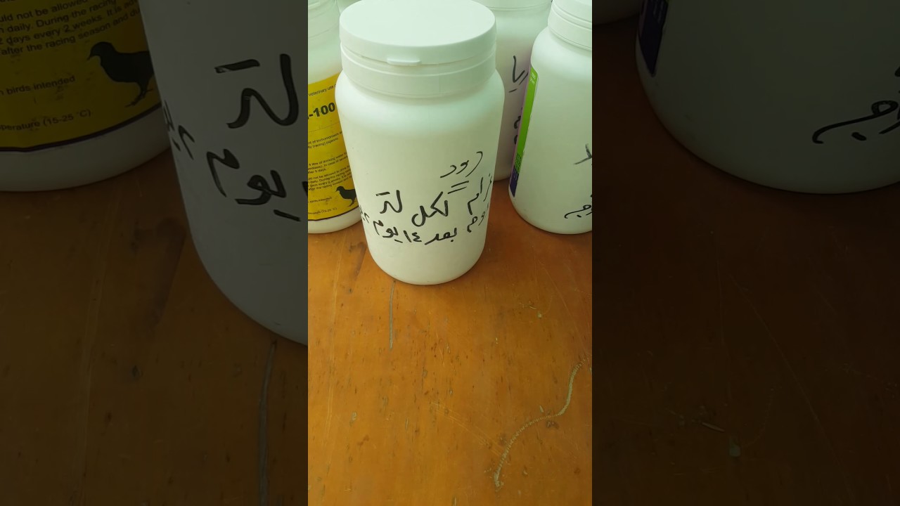 الطريقه الصحيحه للعلاج والوقايه من الأمراض لطيور الزينه والحمام والدواجن