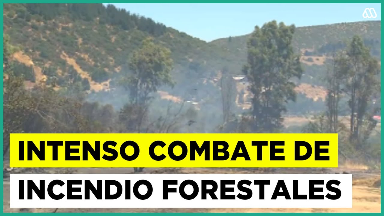 Incendios forestales en el Maule se reactivan: Condiciones meteorológicas favorecen propagación