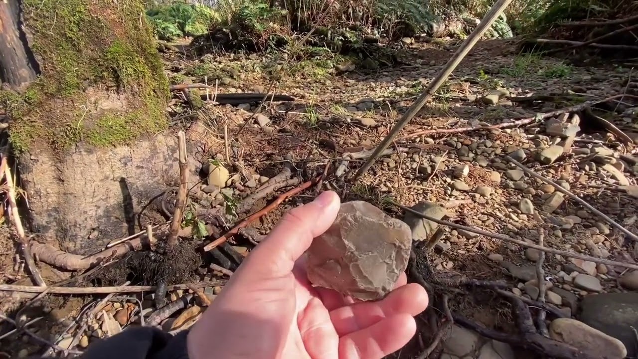 Rockhounding on the Nehalem river in Oregon!