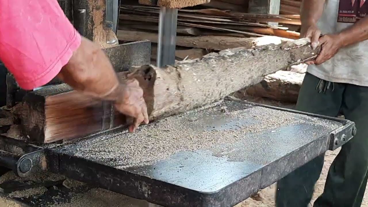 Ranjang Ranjang kayu di penggergajian 