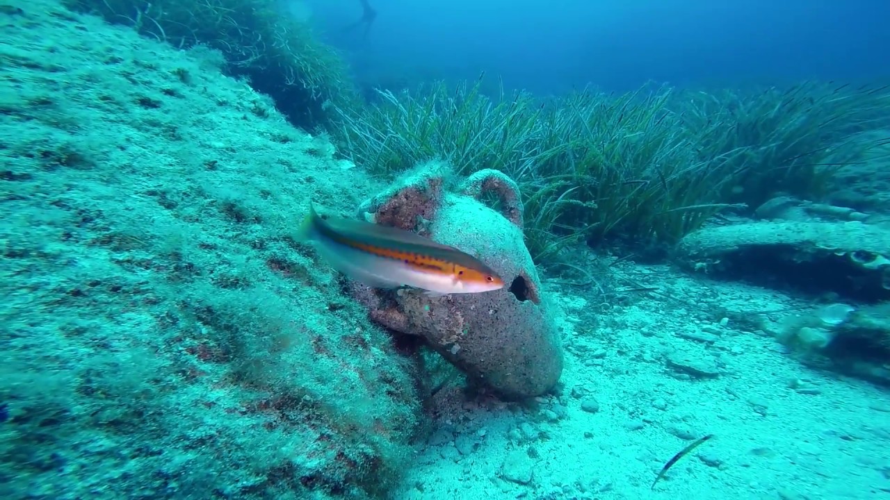 Malta Diving: Cirkewwa's Open Water