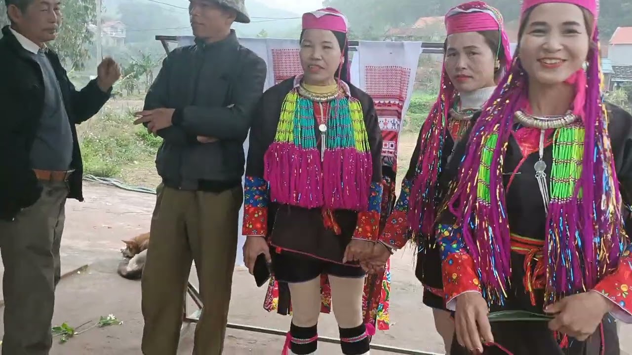 Kêm Mun Ninh phot lâu pe quái mài phủn lang ninh áy  plấy, Nà Lộc , Tiên Yên, QN