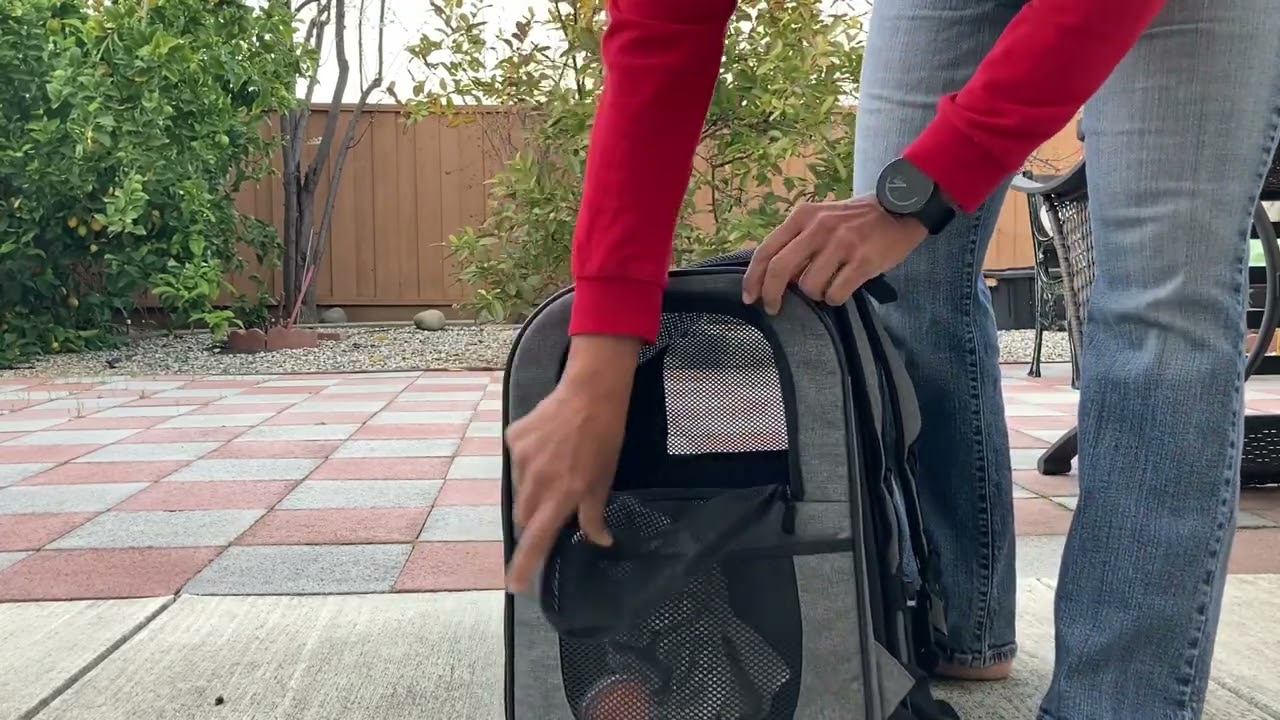 Apollo Walker Carrier for Small Dogs and Cats: A Look at Miku's Favorite Hiking Ride
