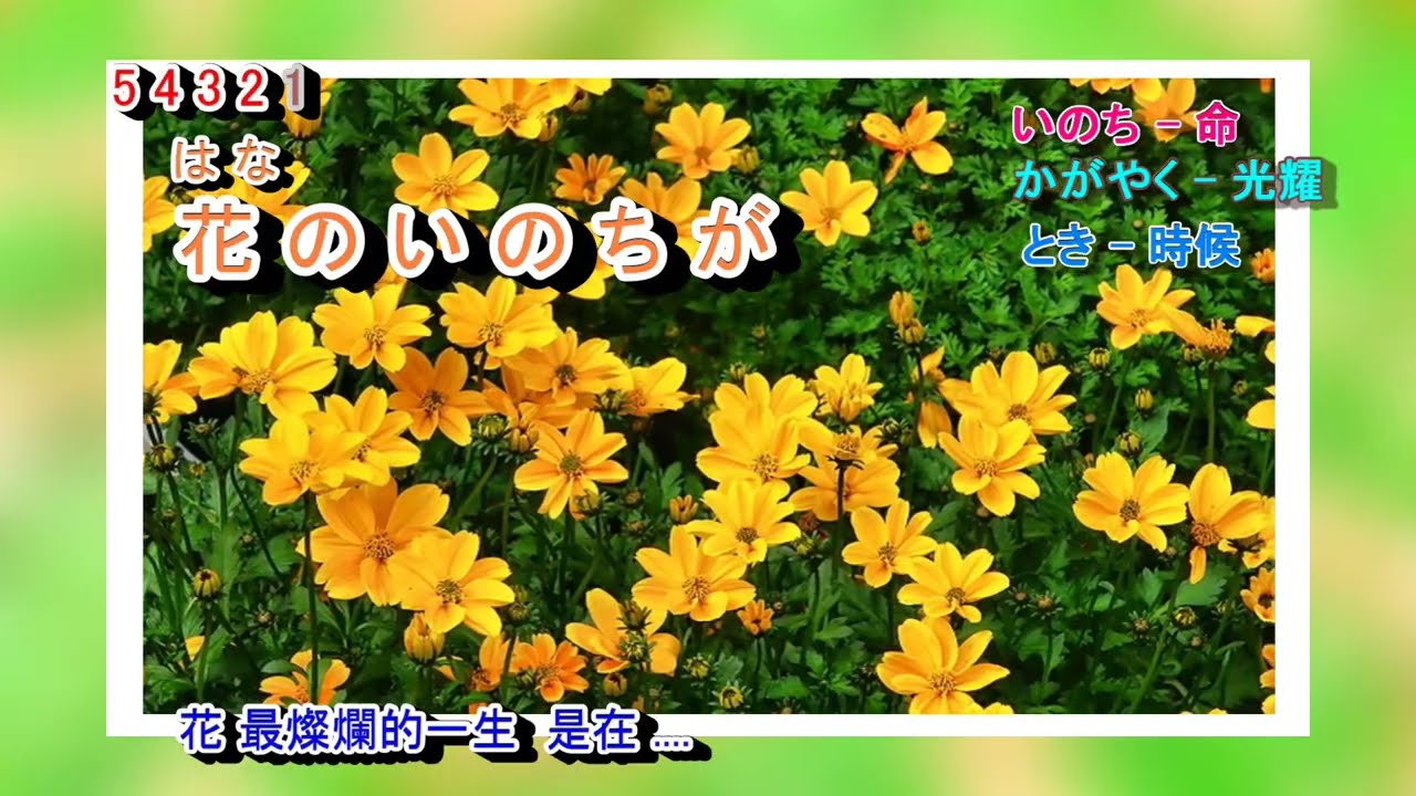 花燃え 音羽しのぶ 字義版