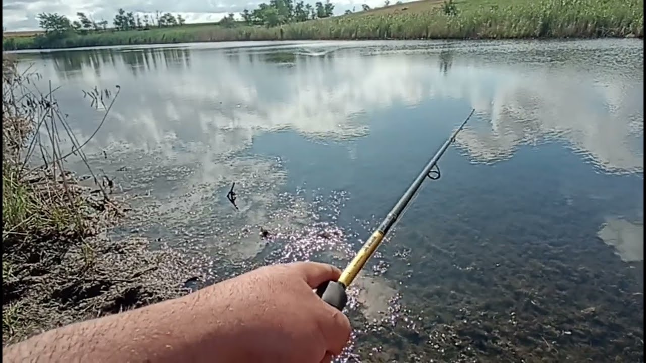 ЩУКА НА МЕЛКОВОДЬЕ!!! В НАДЕЖДЕ НА ТРОФЕЙ!!!