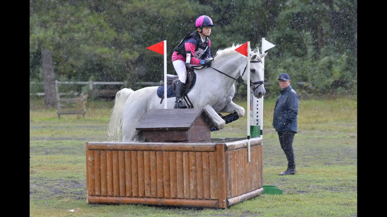 CCE CLUB PONEY A LA COURNEUVE LE 23-09-2018