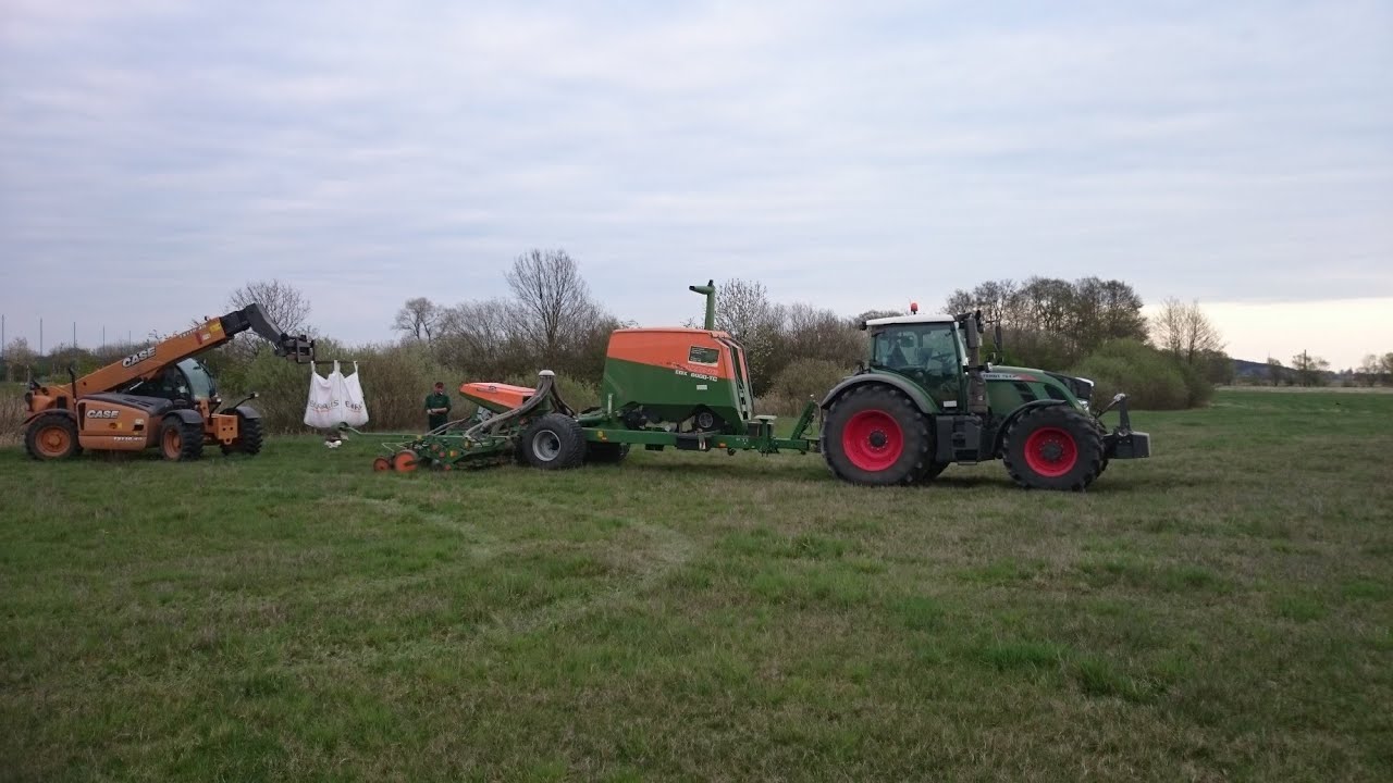 Lohnunternehmen Köpke KG  mit Fendt 724 vario u Amazone EDX 6000 TC beim Maislegen