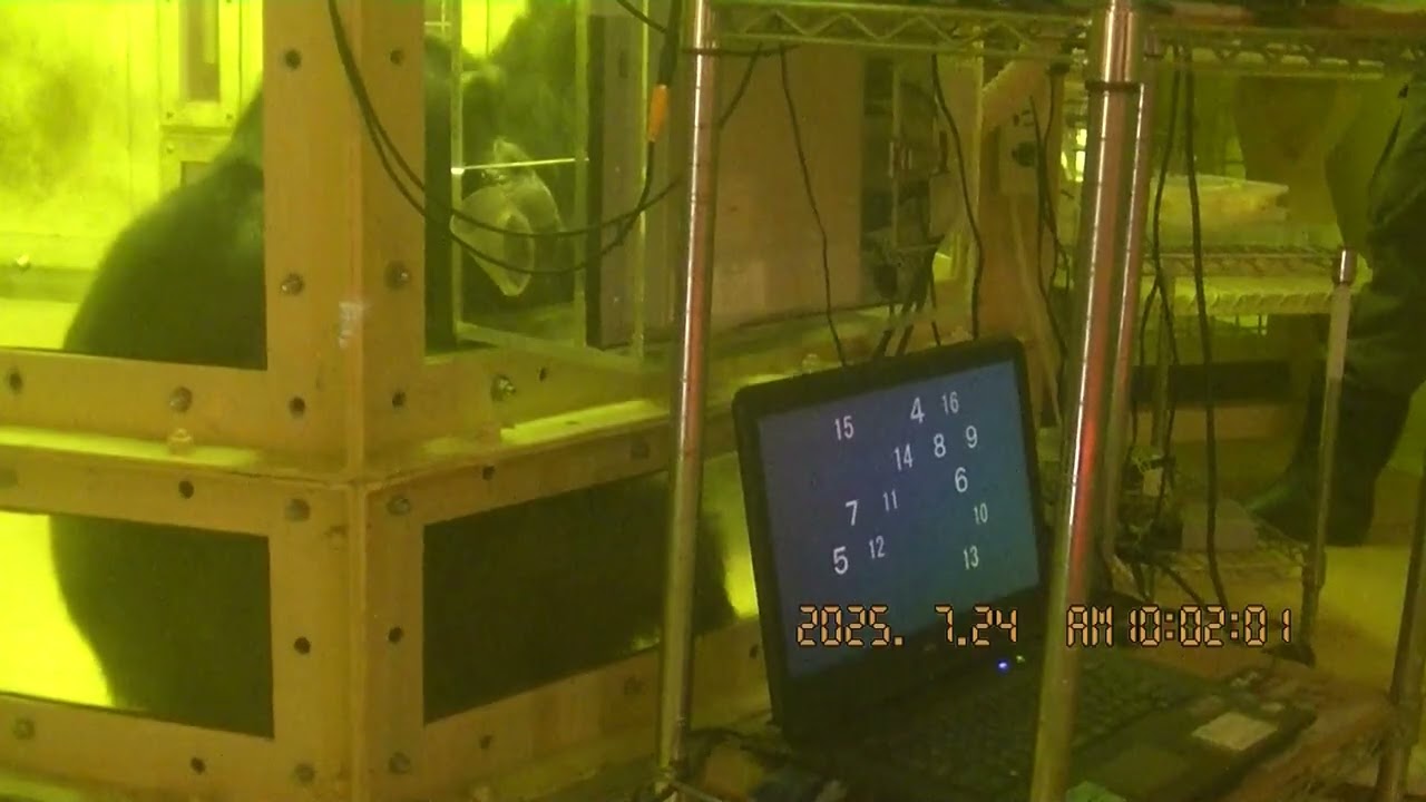 ニイニお勉強　2025．7．23