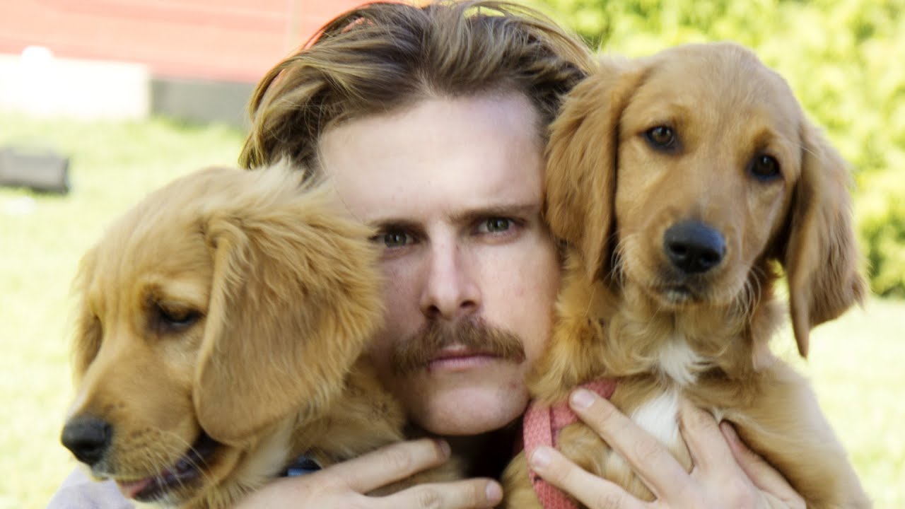 Giant Men Meet Tiny Puppies
