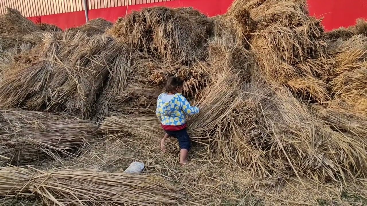 जय गौमाता , जय गोपाल !! गौशाला 2025  @NativeNatureFarmsPatna