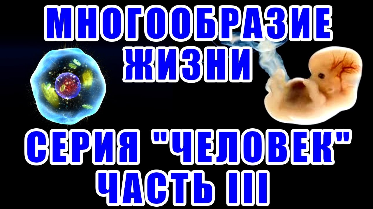 Многообразие жизни. Серия 