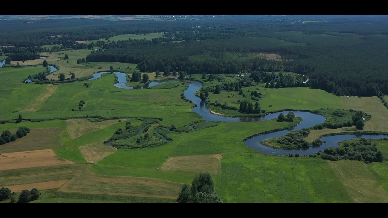 Kąty gm. Mały Płock / Polish countryside DJI Mavic 2 Pro