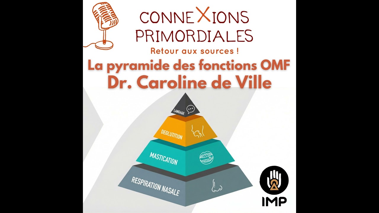 La pyramide des fonctions OMF
