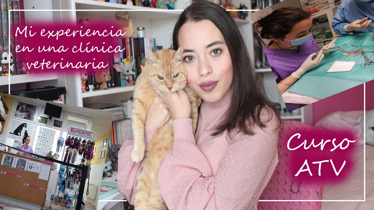 CURSO ATV || MI EXPERIENCIA TRABAJANDO EN UNA CLÍNICA VETERINARIA || Los mundos de Bella