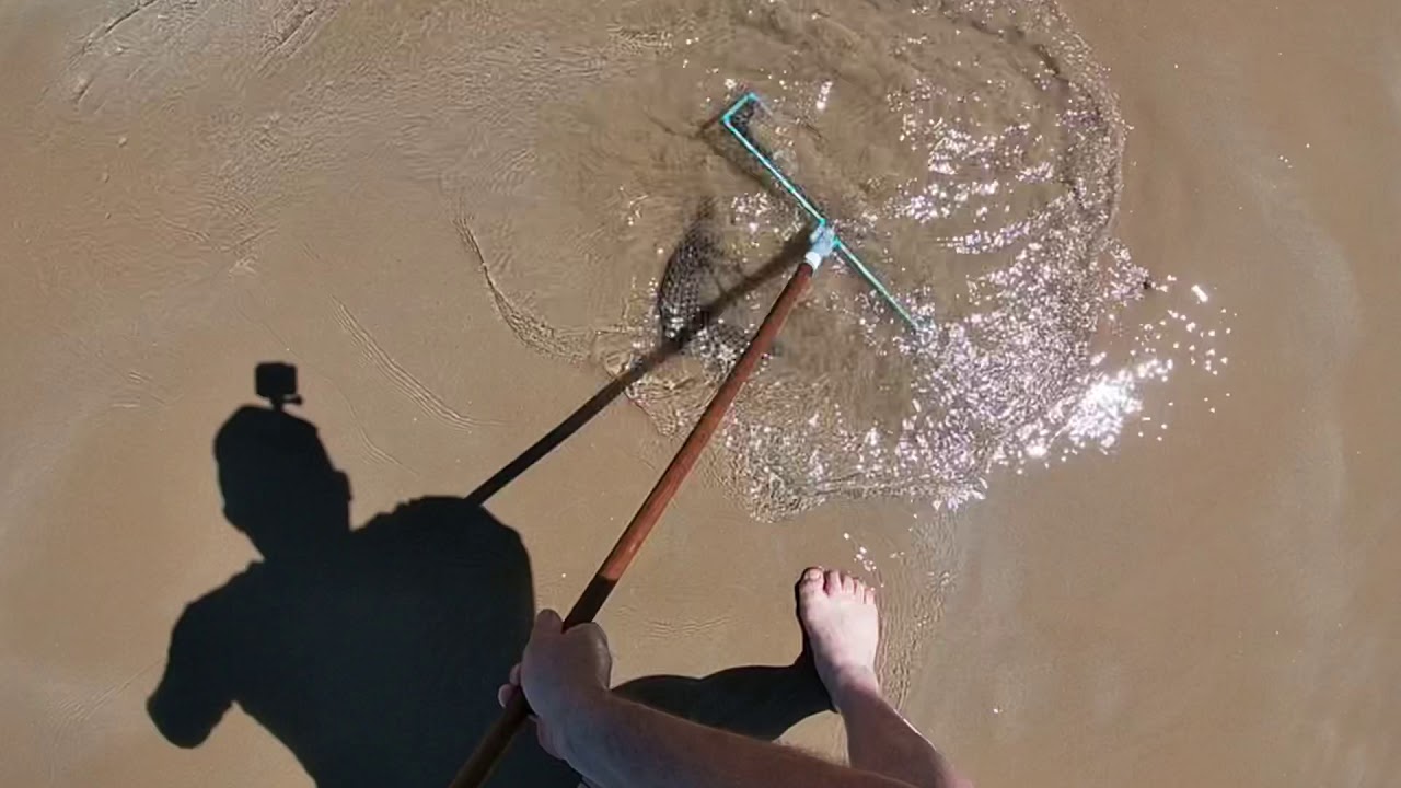 Goolwa Beach |  cockles