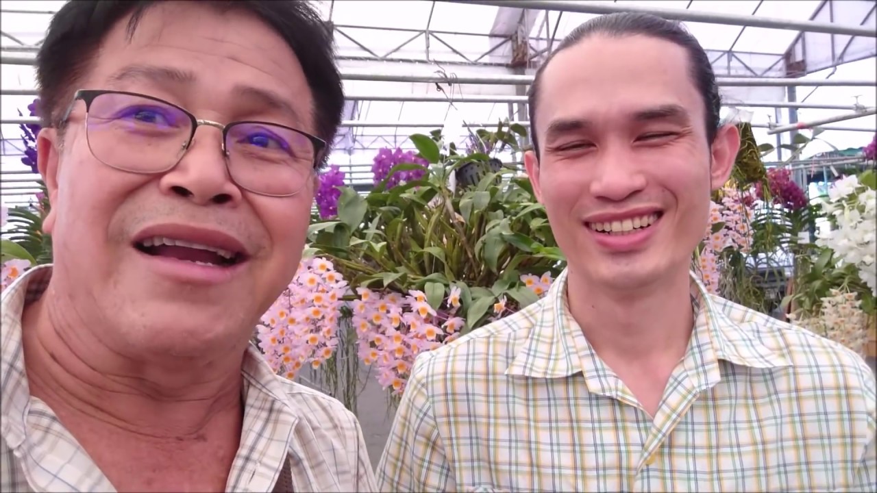 สวนกล้วยไม้จันทบูร,Chanthaboon Orchid Farm,The best of Show in orchids competition,Thailand