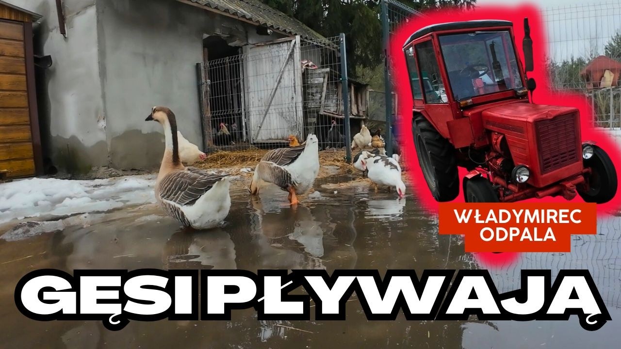 Staw na bazie i przypadkowa naprawa T25