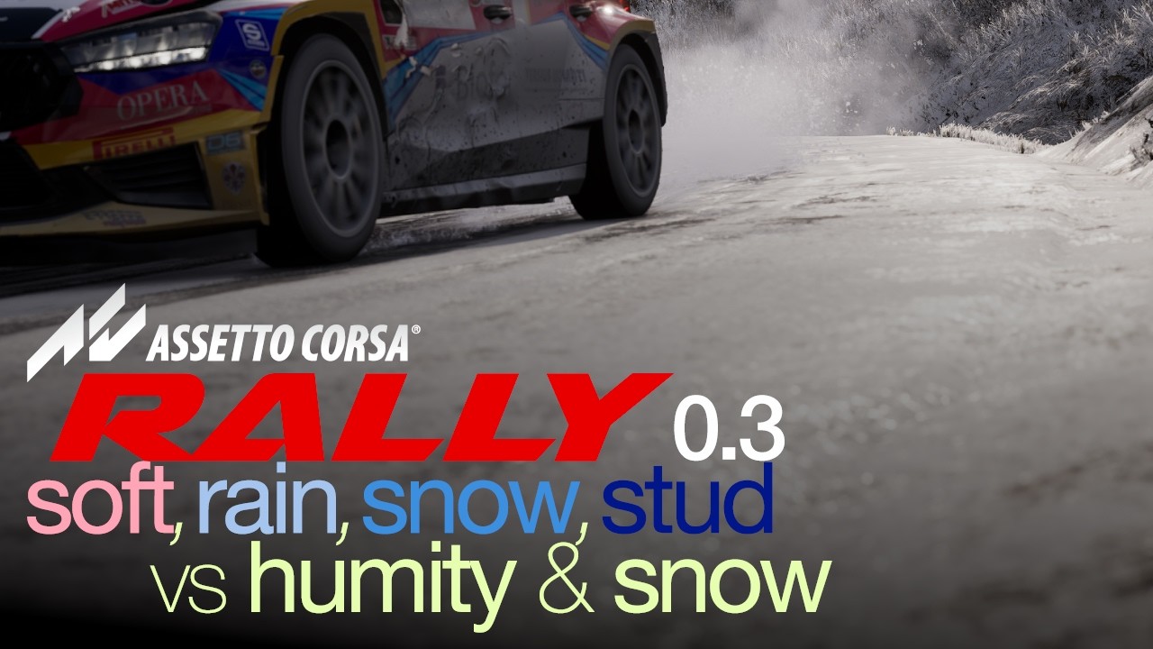 Assetto Corsa Rally v0.3 – Tires Benchmark | Tarmac (POV,  / Analysis)