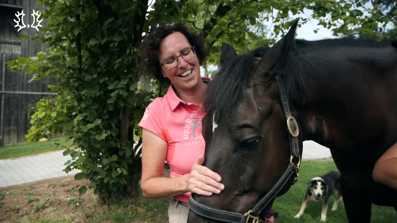 Mein Trakehner und ich: Birgit Hild und Goldmond TSF