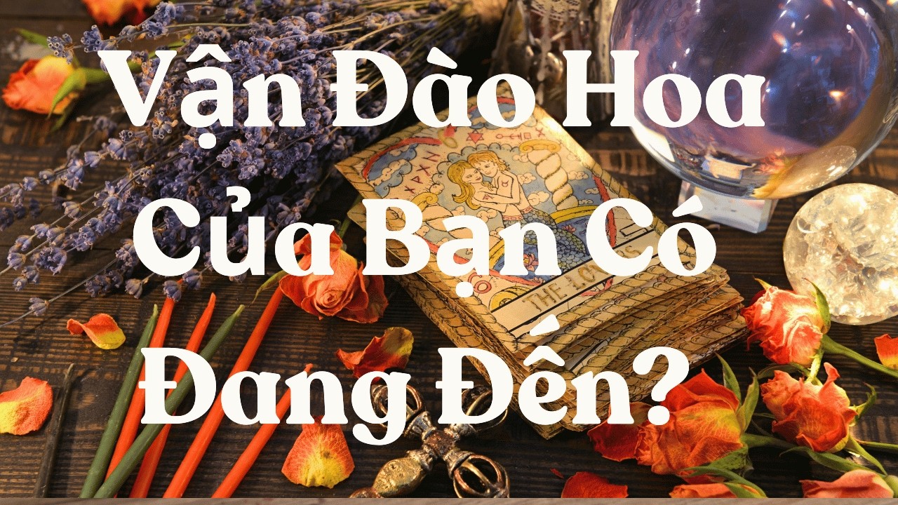 Bạn Sắp Thu Hút Bao Nhiêu Người?