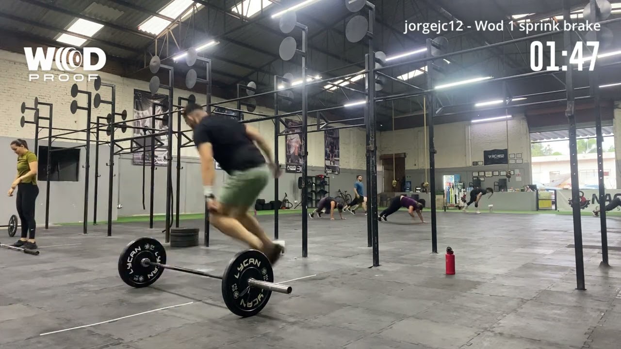 SBG24
