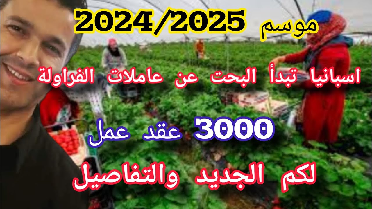 #موعد التسجيل _عاملات الفراولة #العمل في إسبانيا #هويلبا الإسبانية
