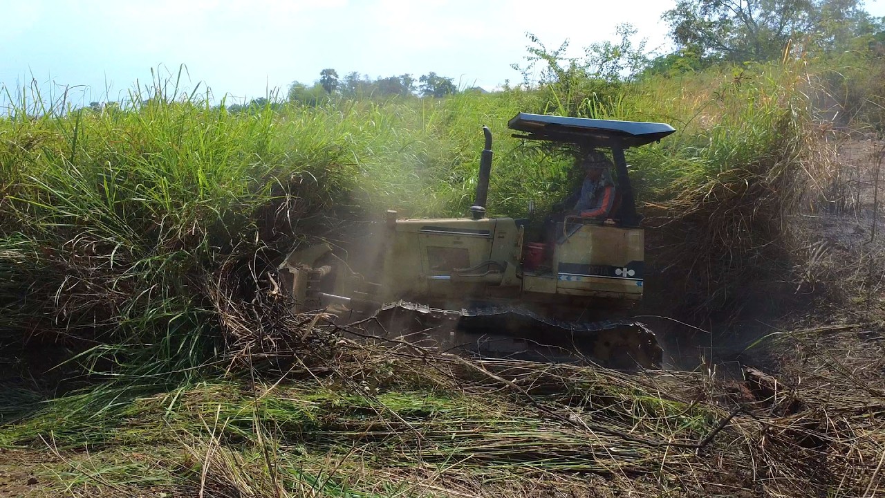 EXTREME CLEARING! Destroying Giant Overgrowth With Heavy Machinery.