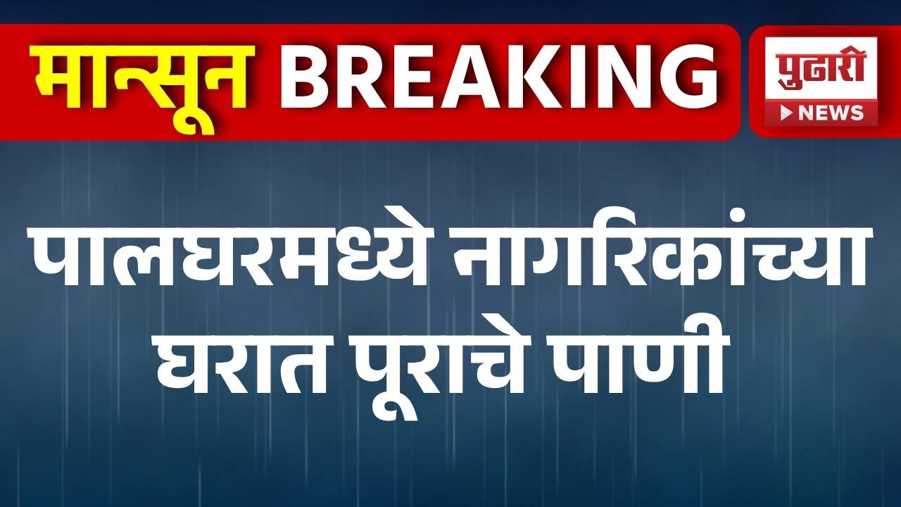 palghar rain update पालघरमध्ये मुसळधार पाऊस